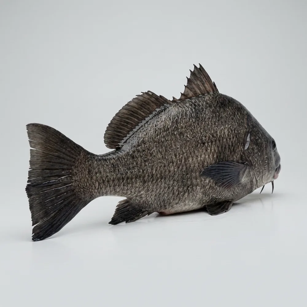 Tamburo nero — 3/4 dietro